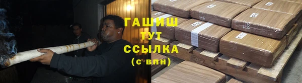 тгк Абаза