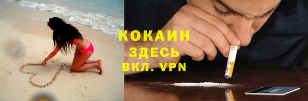 тгк Абаза