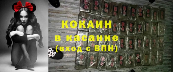 тгк Абаза
