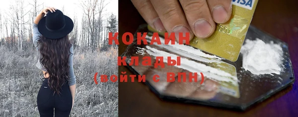 тгк Абаза