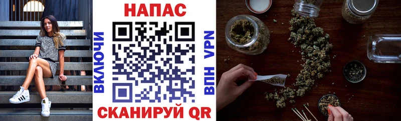 Канабис White Widow как найти наркотики Раменское